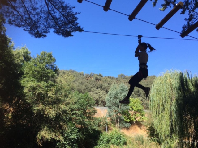 De un árbol a otro